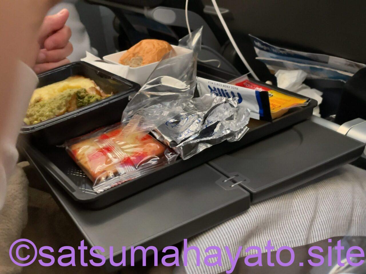 【比較】zipairとSingapore Airline.シンガポールのフライト IMG 5140