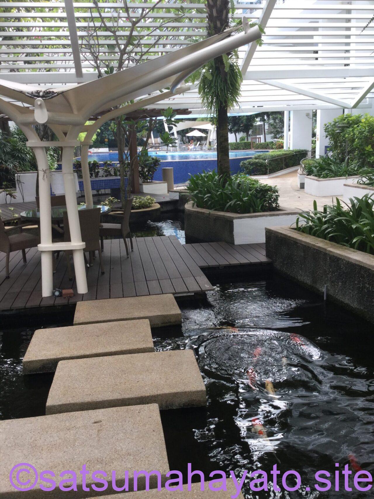 【Singapore】コンドミニアムの家賃上昇。実際の物件で現在の家賃を比較→コロナ前の2倍以上価格。オーナーからのクリスマス・旧正月お菓子プレゼントの量は倍増していない。 IMG 4883