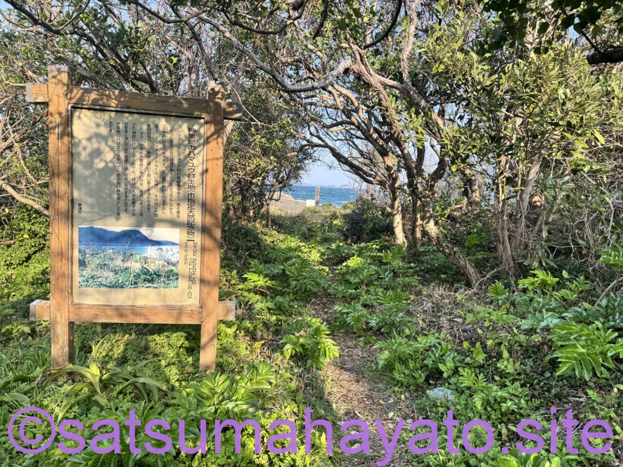 海を望む神社と廃校.佐賀県神集島(かしわじま) IMG 9251