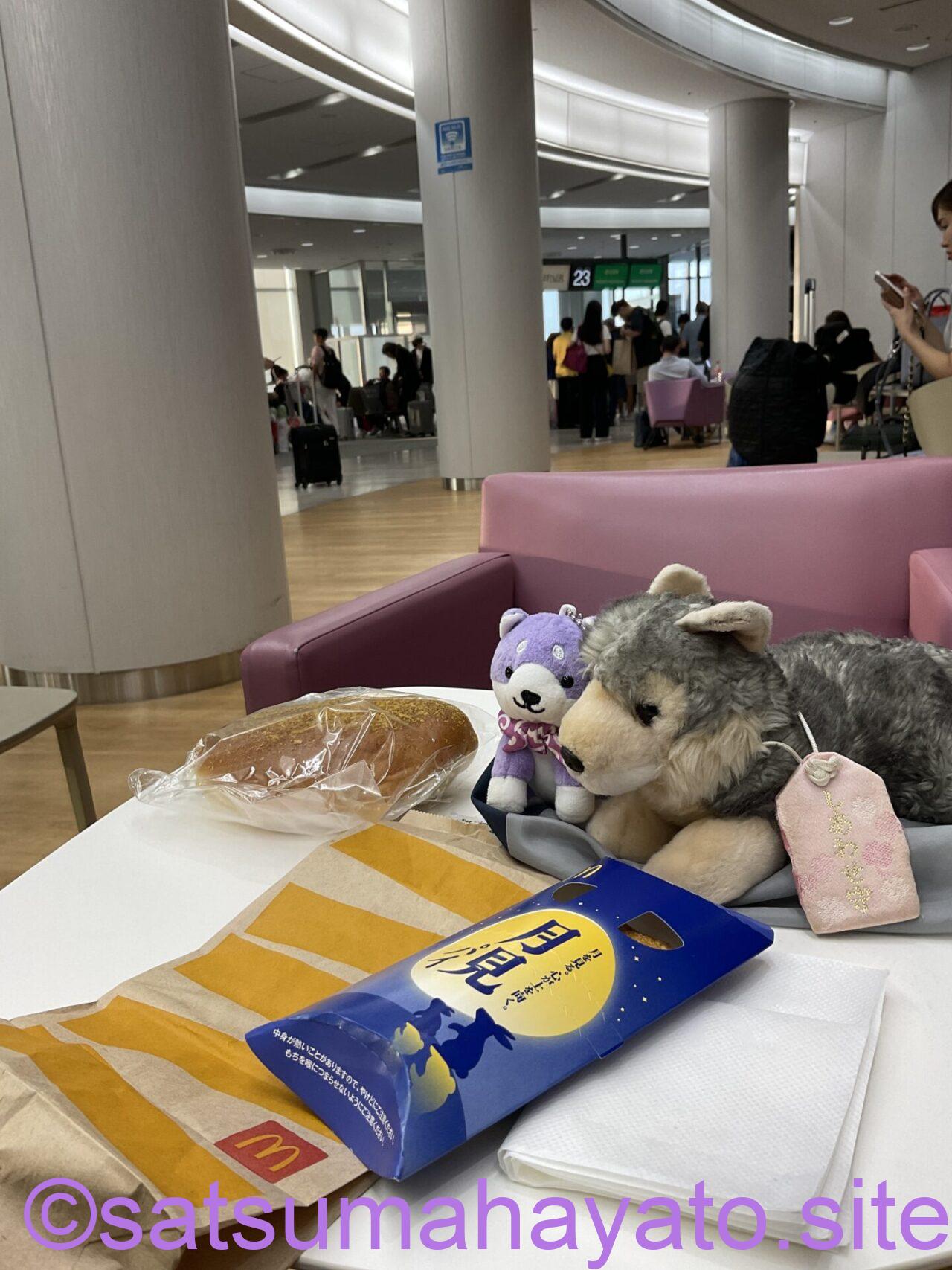 料金比較表:日本とシンガポール間のフライト。セール・機内食情報。LCCも対象 IMG 5012