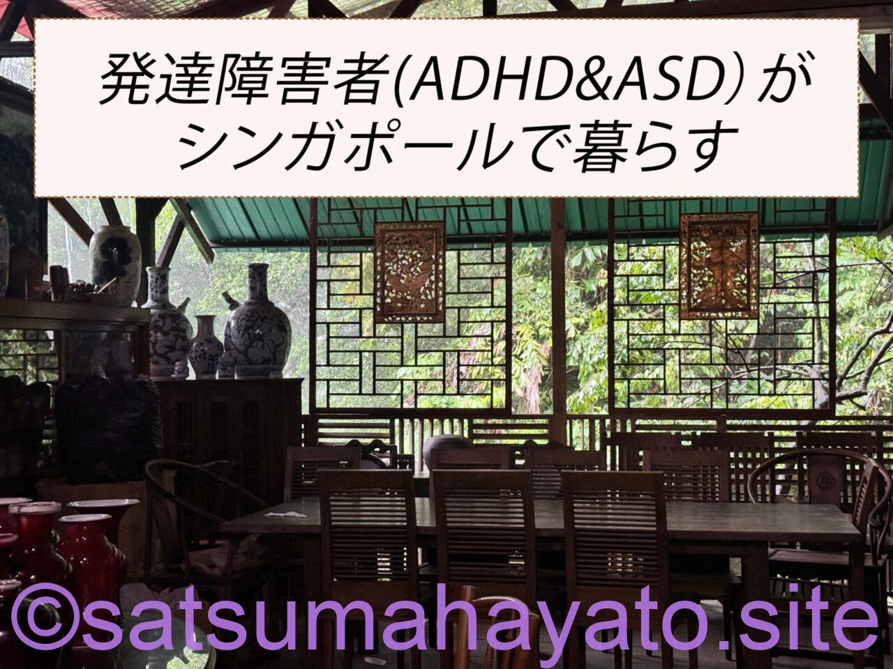 【海外暮らしの発達障害者】海外と日本暮らしやすさ比較(ADHD,ASDスペクトラム)神経発達症生活 515648c041d8cfc1d76b1c3e894e7ce0 1