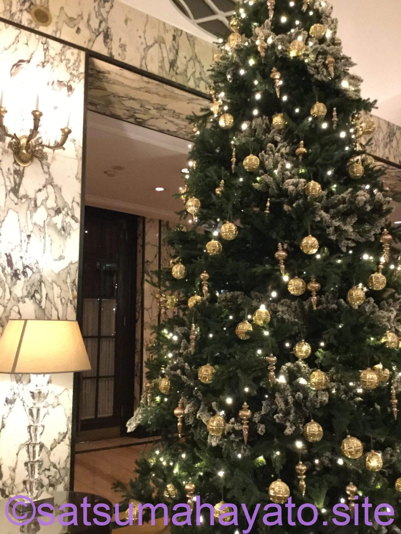 【東欧一人旅6日目】強盗4人VS鹿児島県民。5つ星Esplanade Zagreb Hotel宿泊:クリスマスのクロアチア・スロベニア11日間:ADHD&ASDの初海外一人旅 IMG 0034