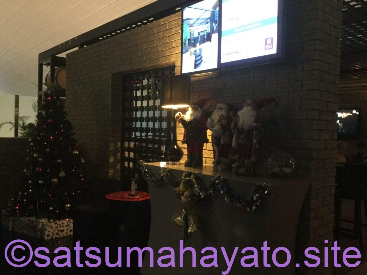 【東欧一人旅9日目】スロベニアのポストイナ鍾乳洞:クリスマスのクロアチア・スロベニア11日間:ADHD&ASDの初海外一人旅 IMG 0136