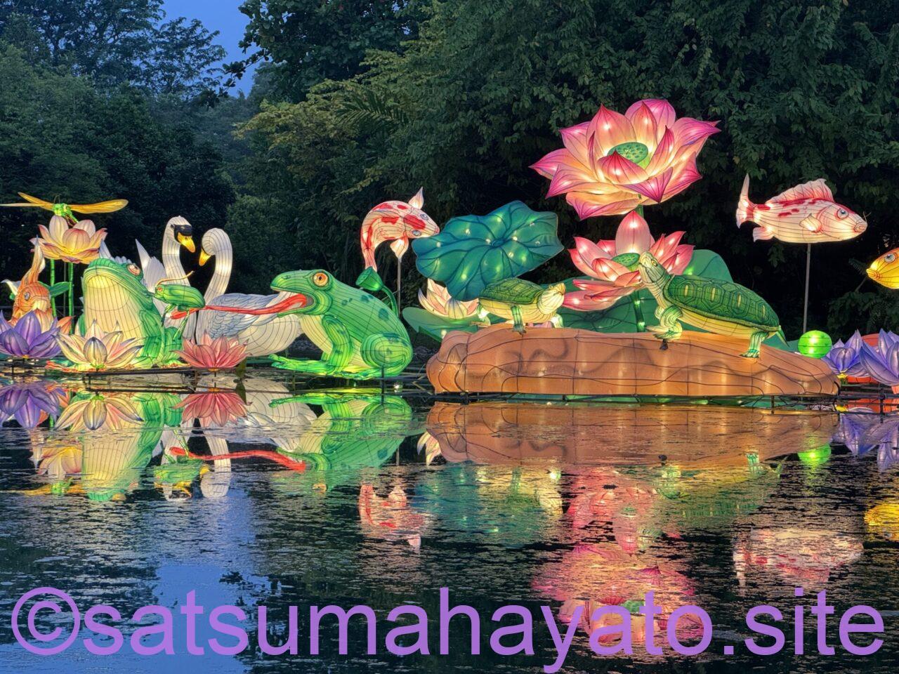 中秋のランタン祭り.改修ではなく改悪になった中国庭園と日本庭園.シンガポール IMG 0894