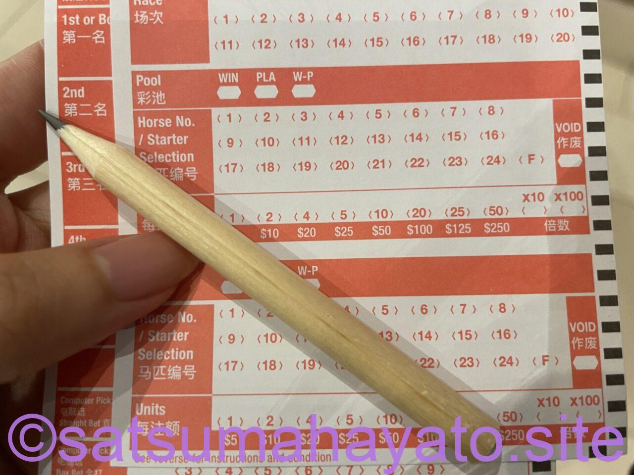 シンガポールで180年の歴史ある唯一の競馬場が閉所 IMG 2267