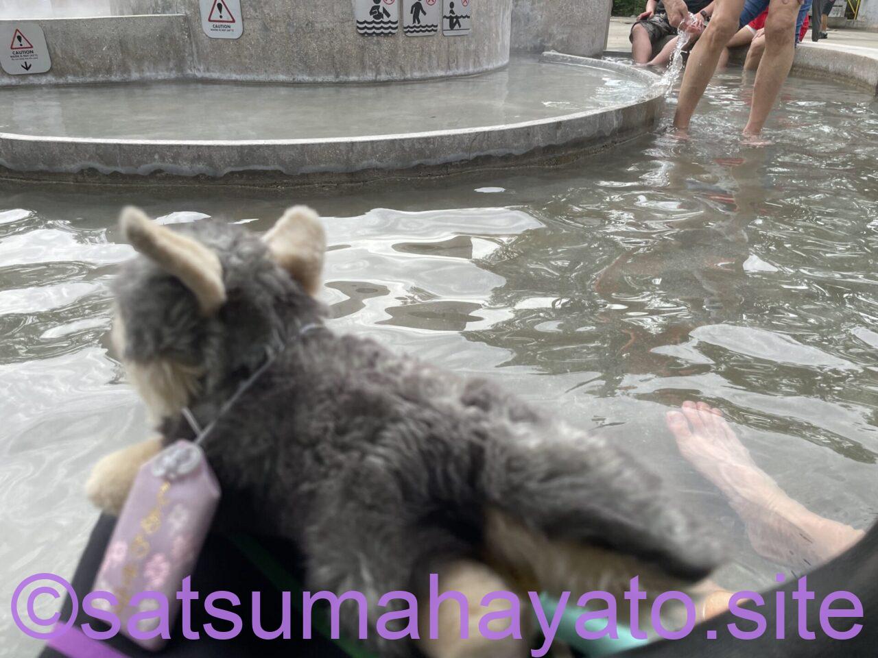 イーシュンの温泉卵用スペースを風呂場にしている男性:Sembawang Hot Spring Park IMG 2603