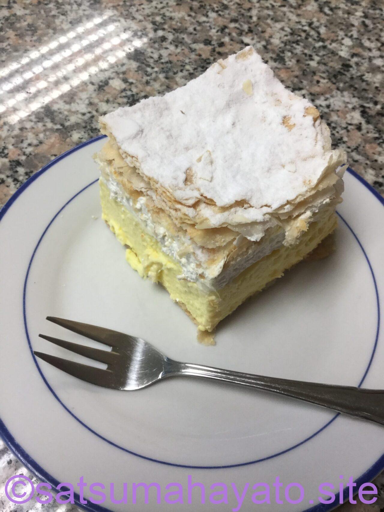 【東欧一人旅8日目】スロベニアの古城と島旅:クリスマスのクロアチア・スロベニア11日間:ADHD&ASDの初海外一人旅 IMG 8906
