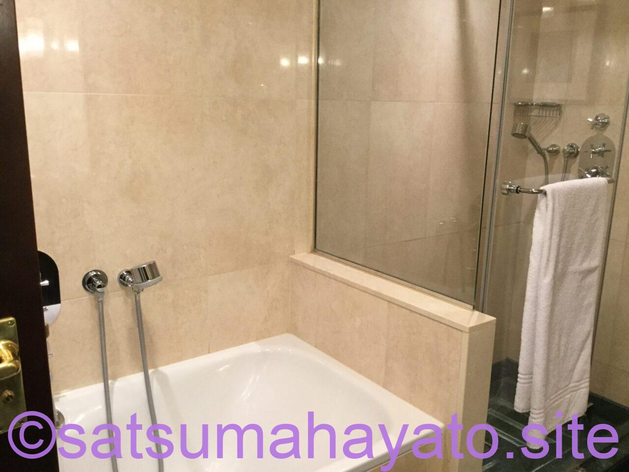 【東欧一人旅6日目】強盗4人VS鹿児島県民。5つ星Esplanade Zagreb Hotel宿泊:クリスマスのクロアチア・スロベニア11日間:ADHD&ASDの初海外一人旅 IMG 9996