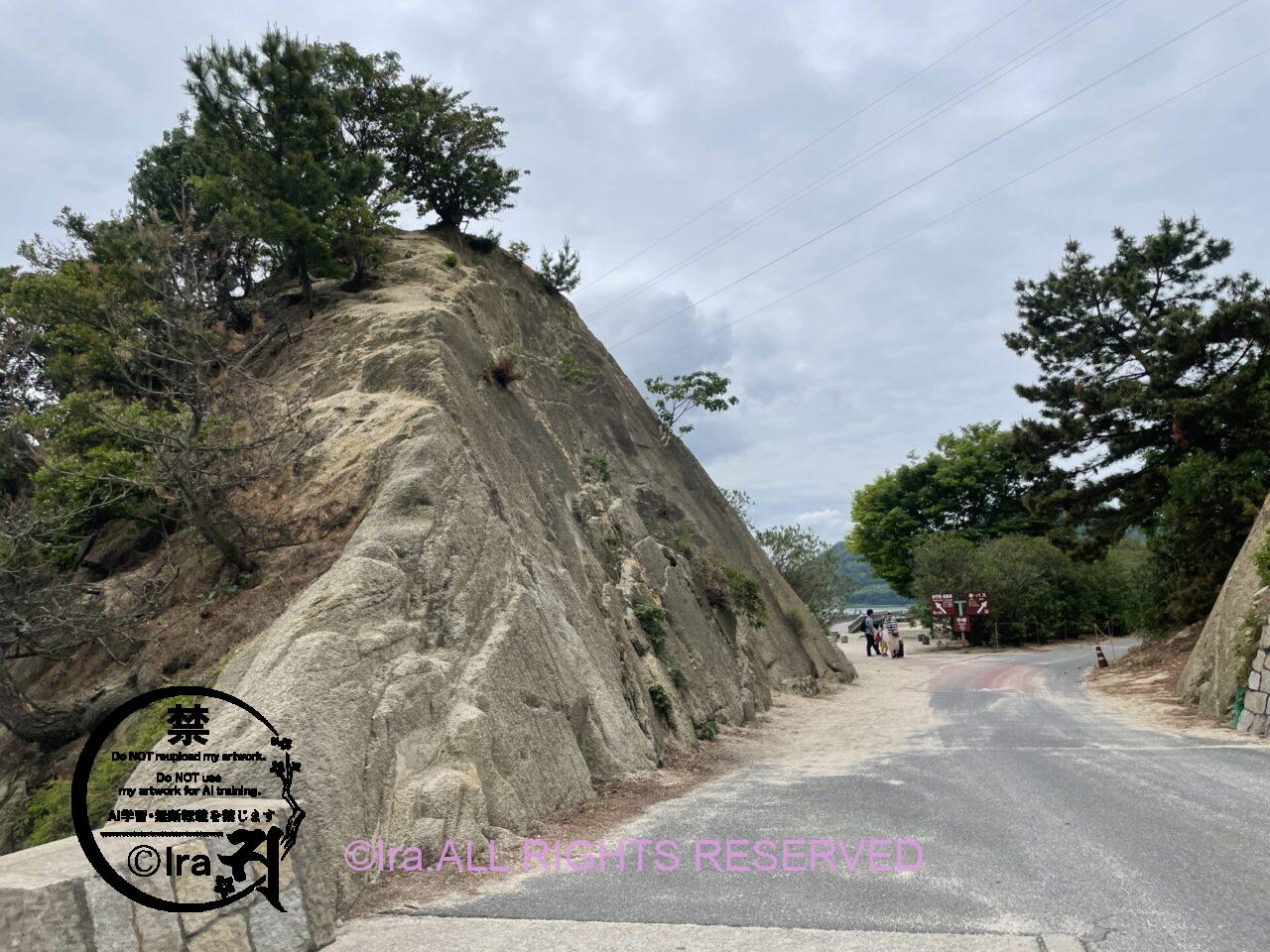広島県の大久野島(うさぎ島):シンガポール人と日本の島めぐり IMG 0437