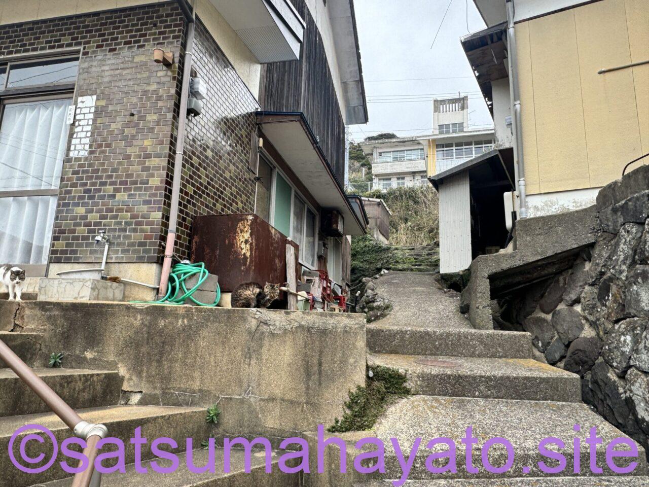 教会と神社の共存.佐賀県馬渡島.釣り客が多い IMG 1397
