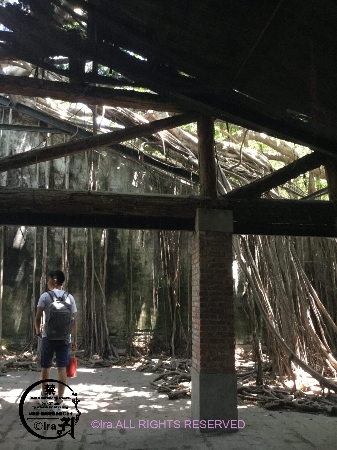 塩の山に登れる台湾の台南(臺南)。アクセス・史跡・宿泊観光情報。 IMG 4405
