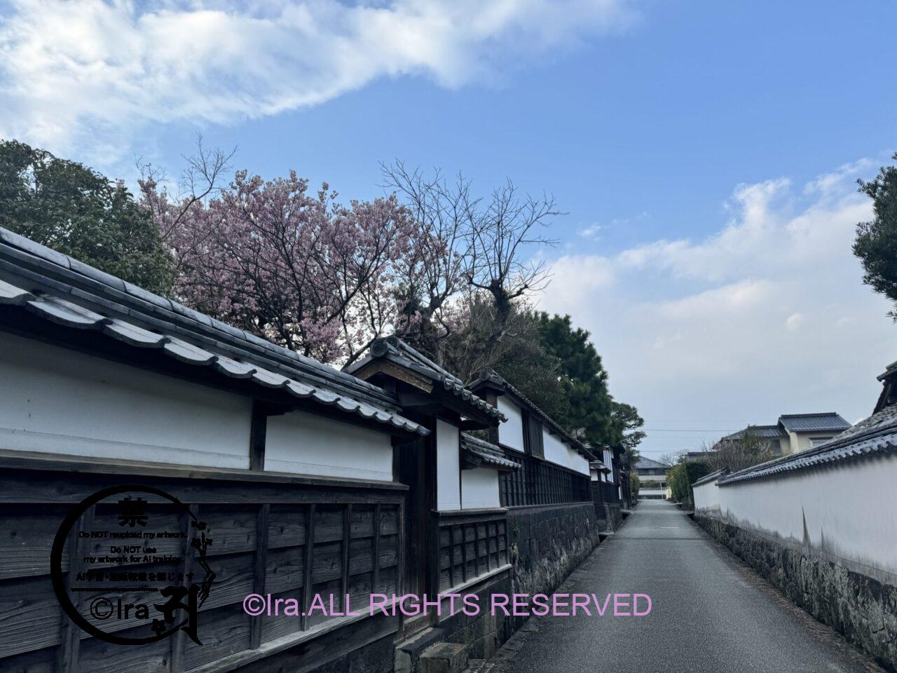 レトロ町・カフェ旅:山口県萩市。シンガポールから車中泊で日本をめぐる IMG 6565
