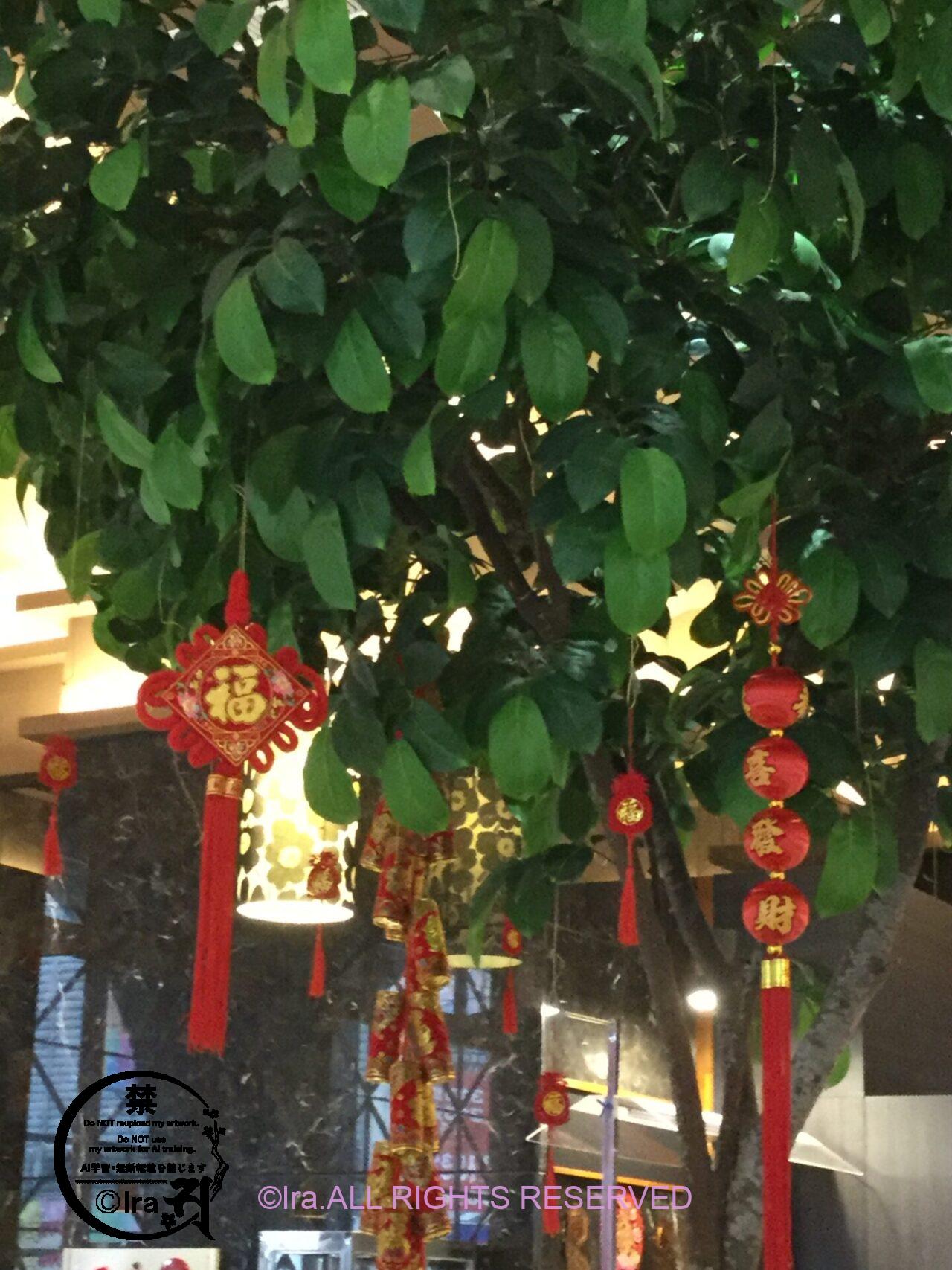 台湾の花蓮:慕谷慕魚生態廊道・ハイキング・観光情報 IMG 6641