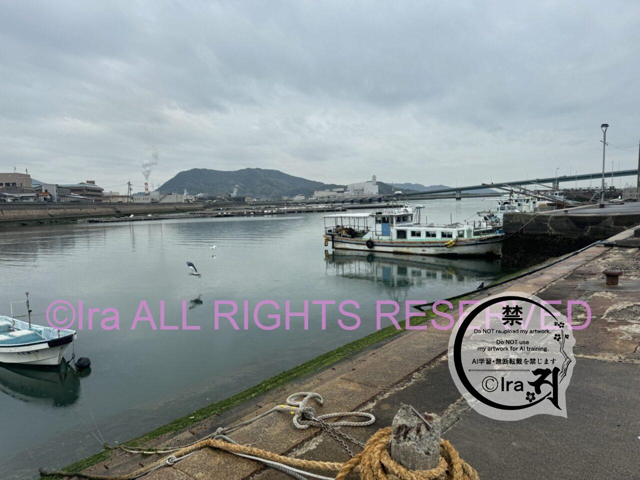 広島県の情島:2対3で権力争い中の有人離島。島民の家でタコをご馳走になった(3の立場の方)。 IMG 6927