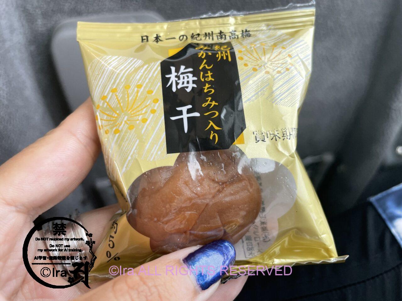 【湖に浮かぶ多景島】滋賀県パワースポット.全国から参拝客多い IMG 9446