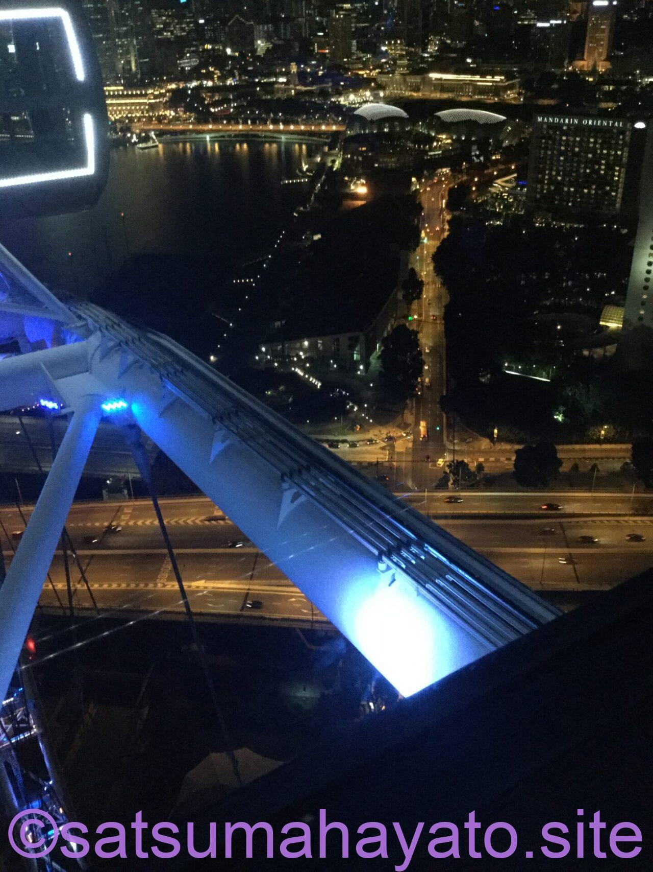 🇸🇬参加者死亡3人目.スタンダードチャータードシンガポールマラソン IMG 9915