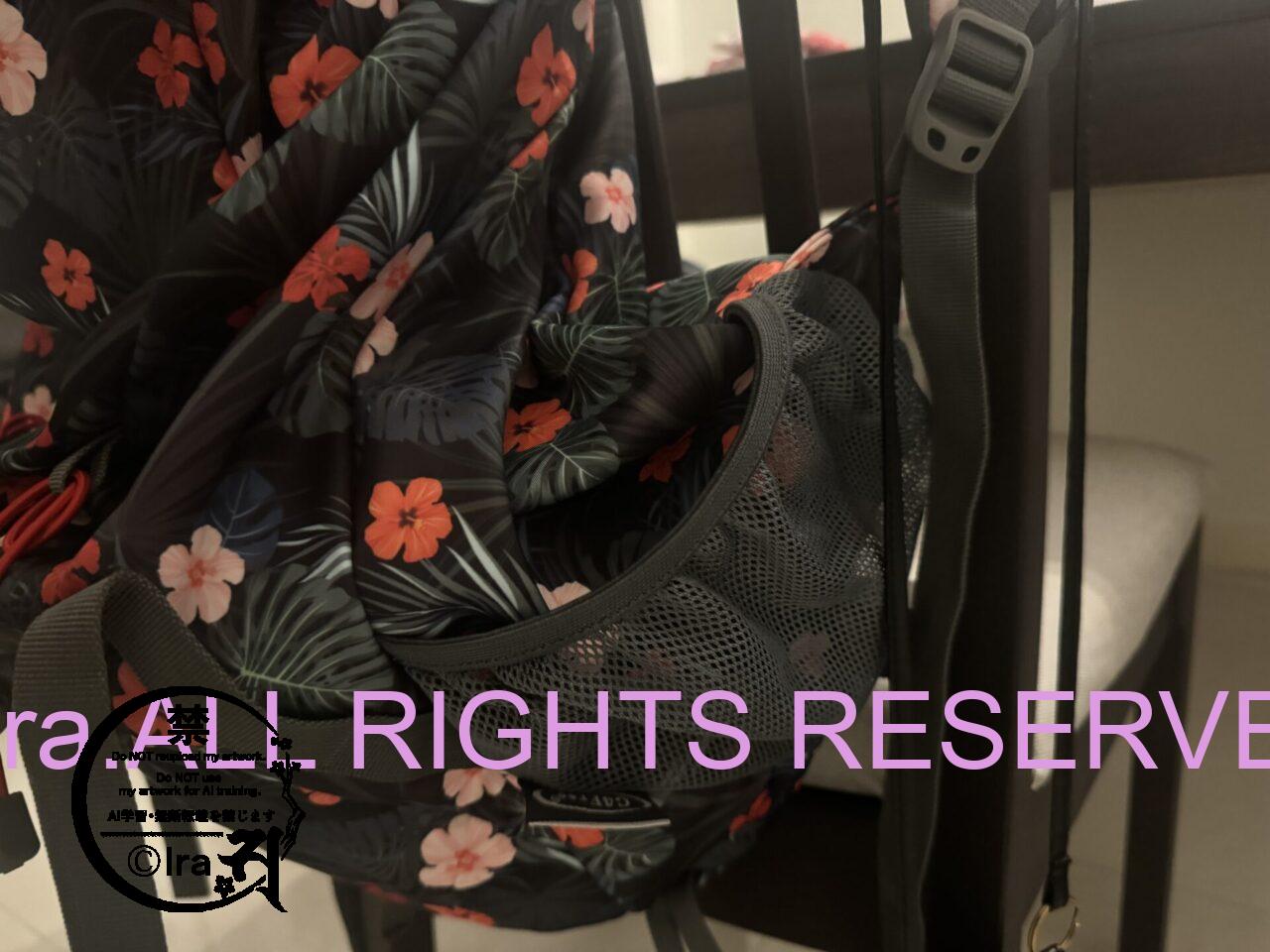 【裏技】安価で高品質なバックパック。超軽量&速乾性製品で快適一人旅・車中泊・ノマド。 IMG 0119