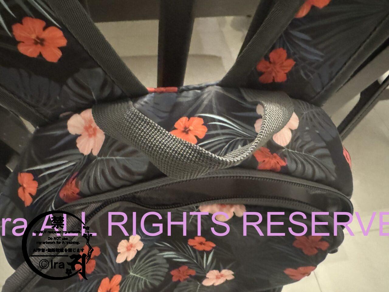 【裏技】安価で高品質なバックパック。超軽量&速乾性製品で快適一人旅・車中泊・ノマド。 IMG 0120