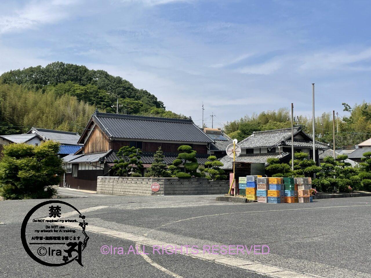 広島県の細島(ほそじま)が好きでシンガポールから通った.しまなみ海道の穴場 IMG 2304