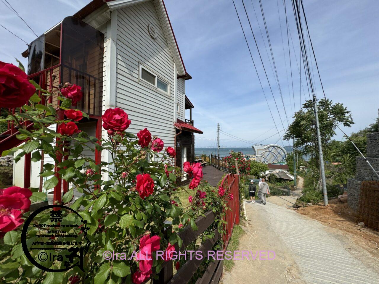 韓国ノスタルジック一人旅.小舞衣島(소무의도・ソムウィド島)と舞衣島への行き方.釣り IMG 2457