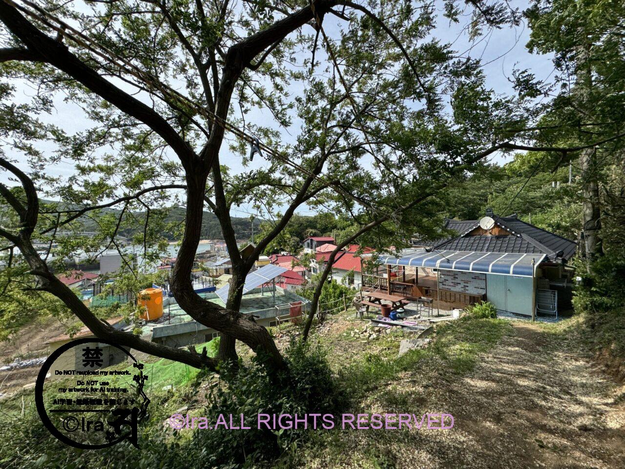 韓国ノスタルジック一人旅.小舞衣島(소무의도・ソムウィド島)と舞衣島への行き方.釣り IMG 2474