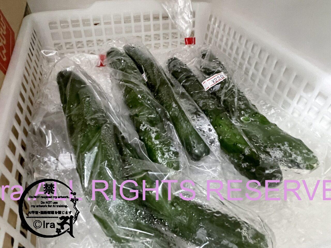 【トカラ口之島】自販/売店.ガイド.コンビニバイト経験ありの島おこし協力隊員 IMG 29733