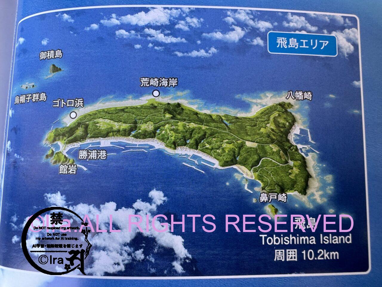 渡り鳥の聖地.飛島(とびしま)トップページ.山形県酒田市 IMG 9271