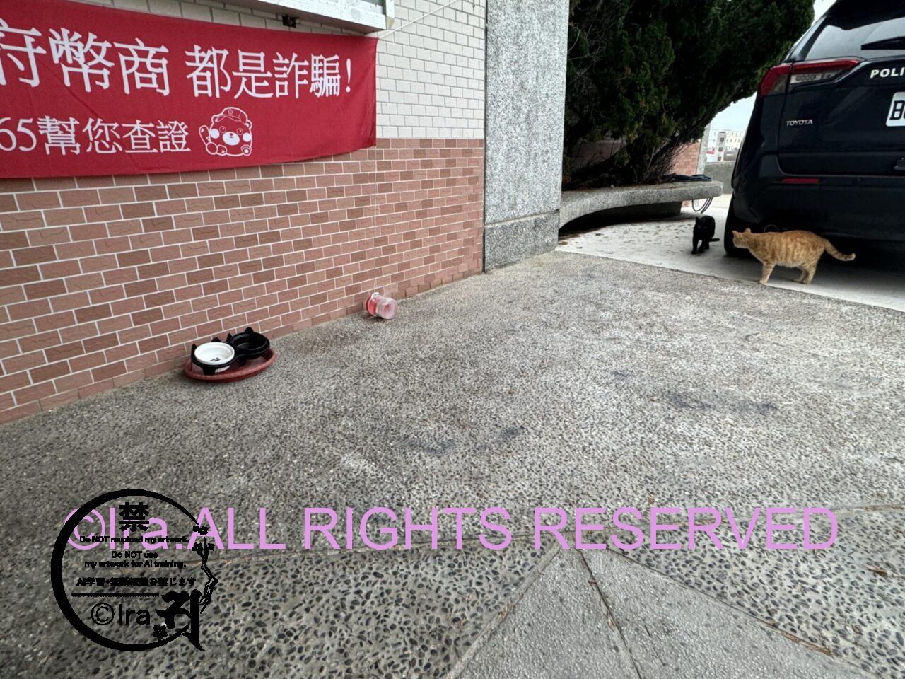 【体験】台湾で性被害に遭い、被害届を提出。猫に餌をあげる台湾の交番 IMG 5523
