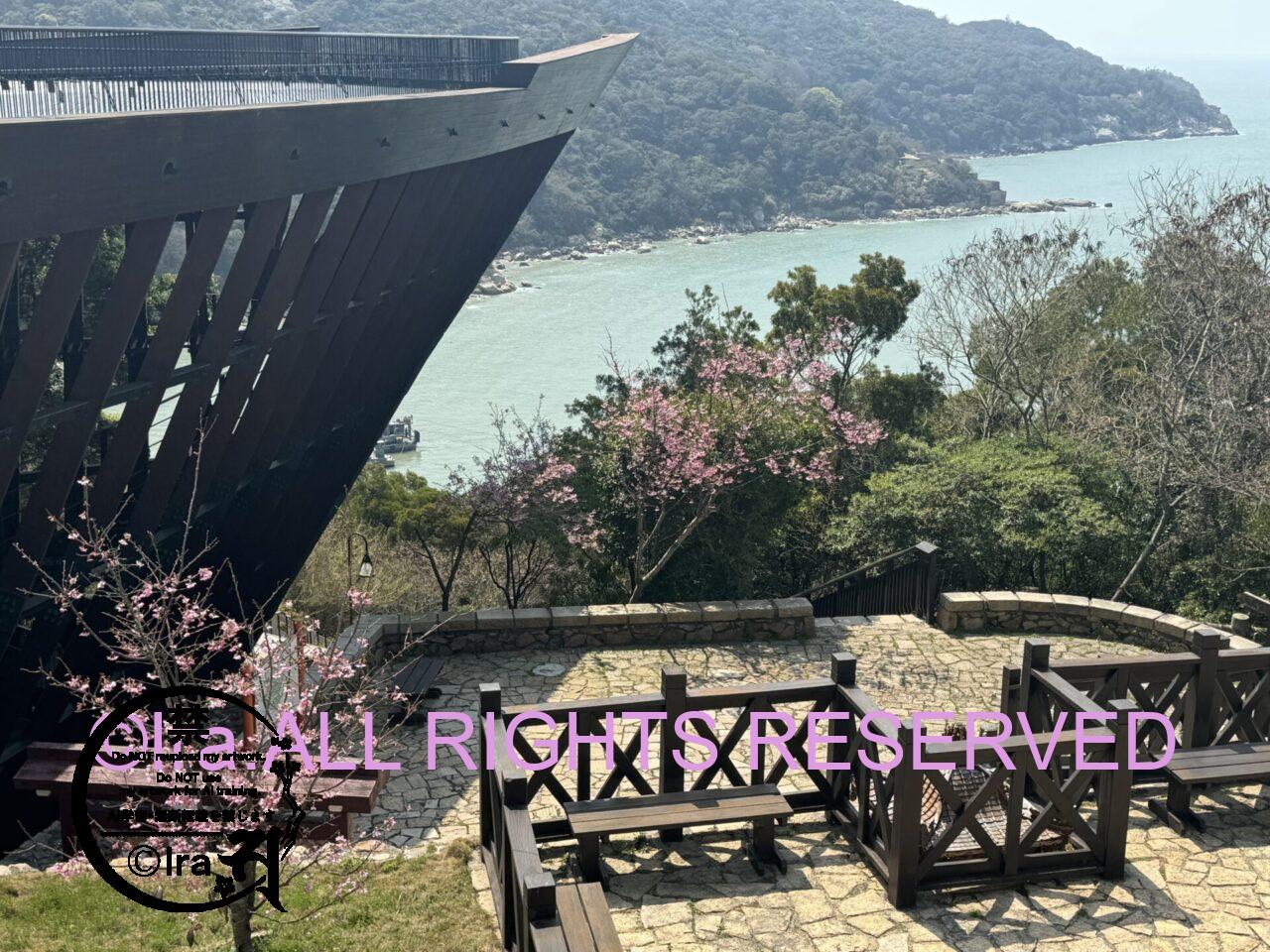 海外へ桜を観に行こう。台湾、春の一人旅・ハイキング旅 IMG 5555