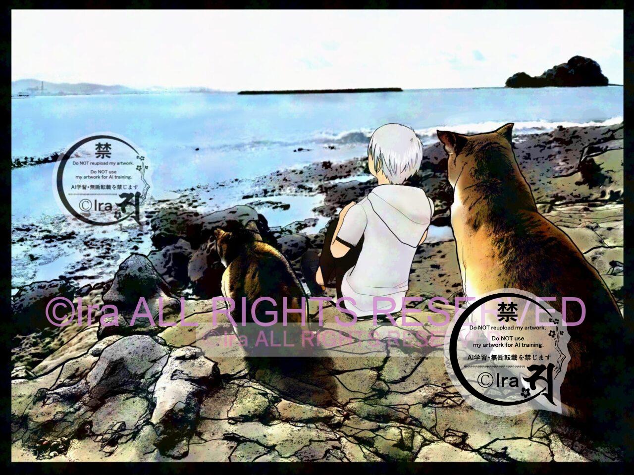 【猫旅】長年毒餌で猫とカラスが殺傷されたとされる事件の島.ストーカー猫達の有人離島.福岡県馬島 63fd565fde72981ddde7f0bd9b7f5e91
