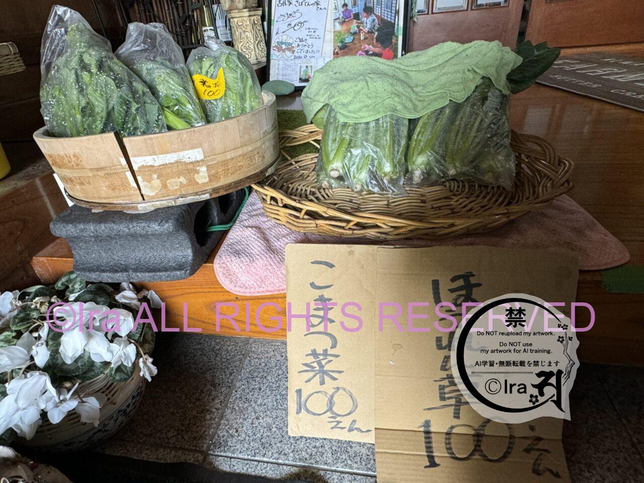 子供連れ歓迎古民家カフェ、さぼてんの家。埼玉県越谷市(レイクタウンがある市) IMG 1513