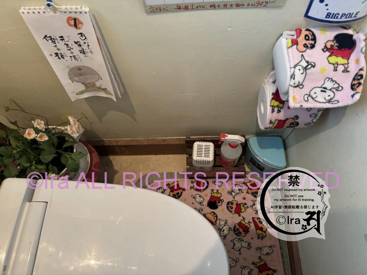子供連れ歓迎古民家カフェ、さぼてんの家。埼玉県越谷市(レイクタウンがある市) IMG 1546