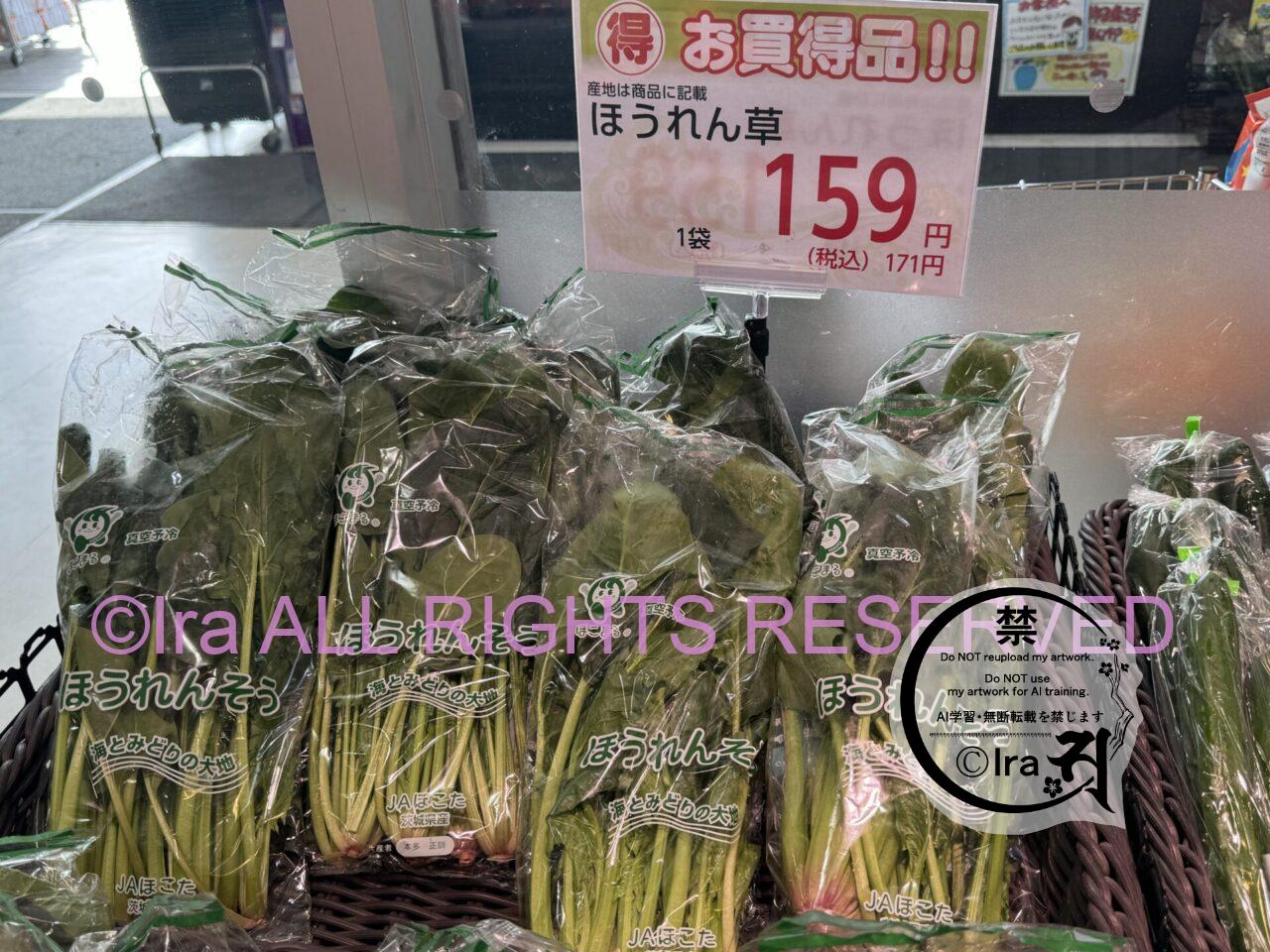 子供連れ歓迎古民家カフェ、さぼてんの家。埼玉県越谷市(レイクタウンがある市) IMG 1564