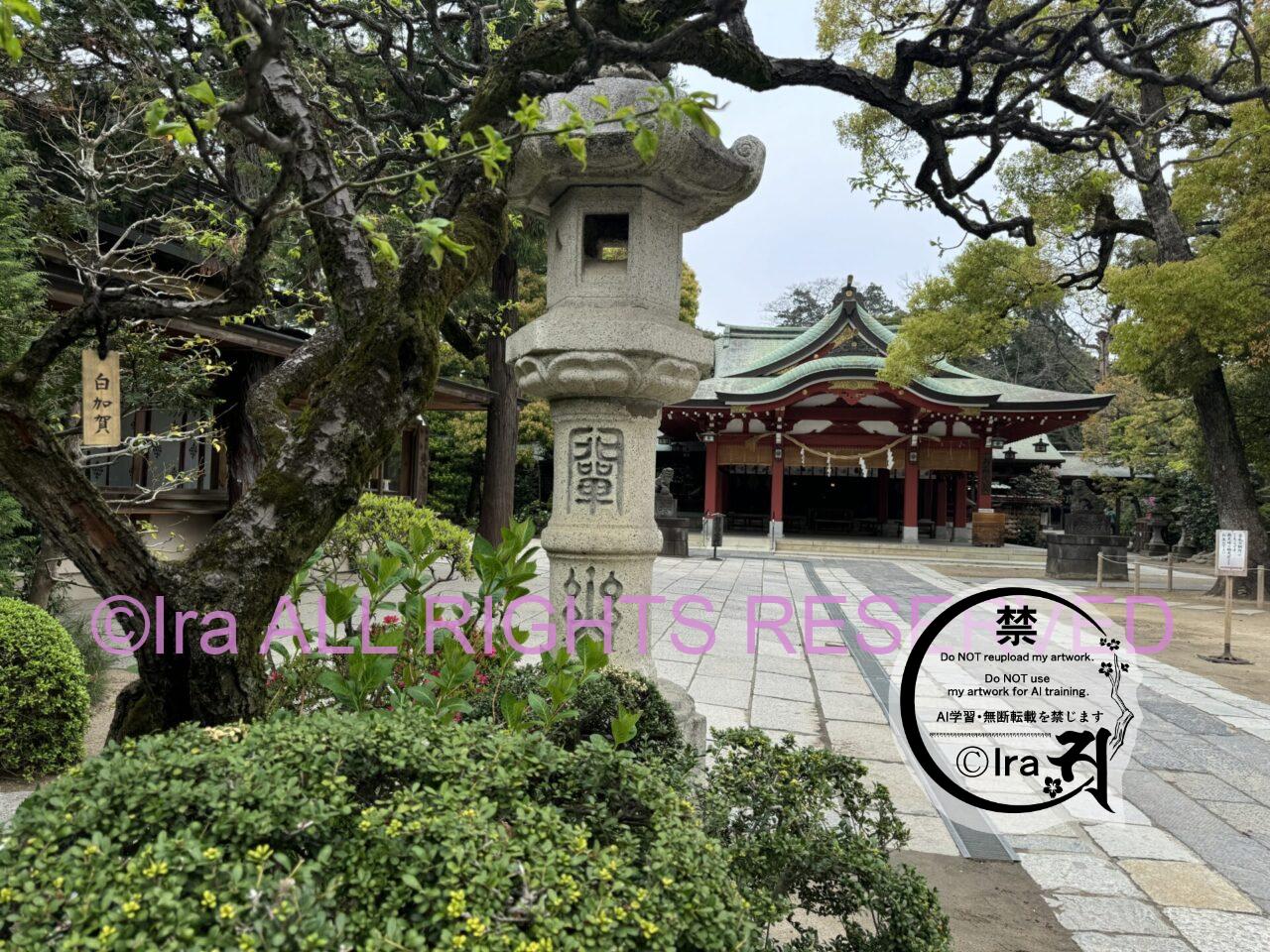 屋久島面積とほぼ同じ、親日国パラオ。コロール島にある"官幣大社南洋神社"と埼玉の久伊豆神社。 IMG 2124