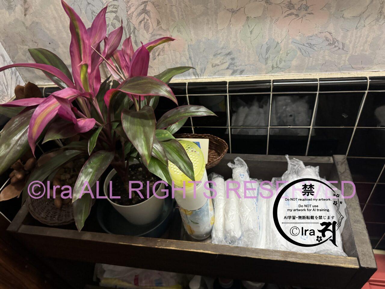 54年営業レトロ喫茶”魔法薬も売ってそうな店、純喫茶サンゴ。埼玉県越谷市 IMG 2323