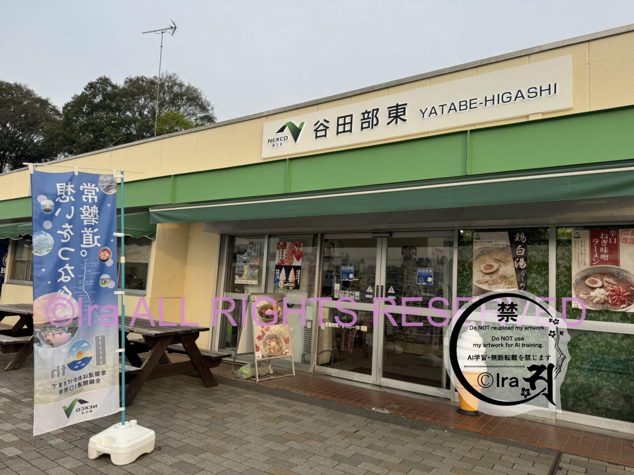 一時帰国と花旅:ネモフィラ・チューリップ。ひたちなか海浜公園。花めぐり旅。茨城 IMG 2537