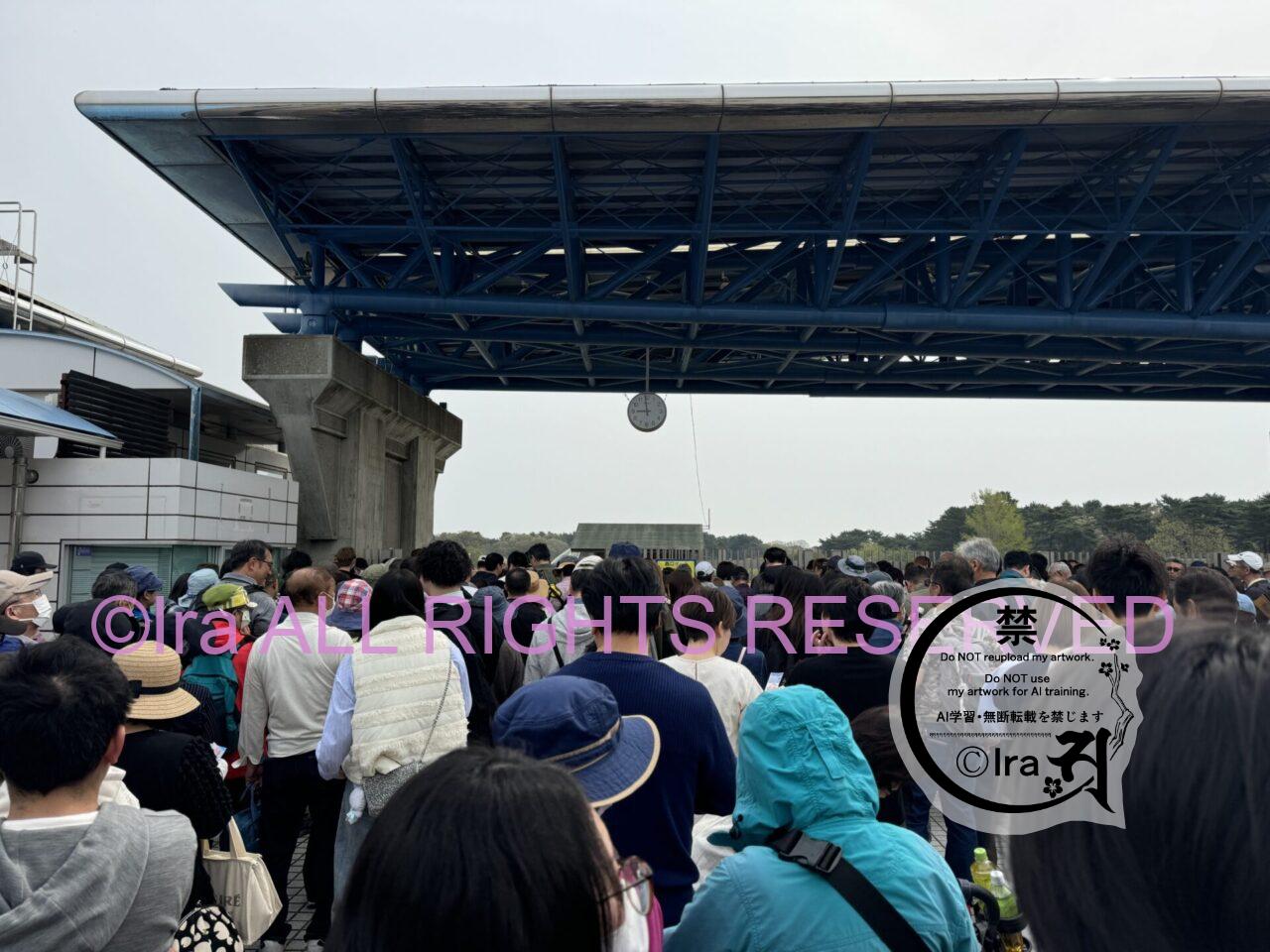 一時帰国と花旅:ネモフィラ・チューリップ。ひたちなか海浜公園。花めぐり旅。茨城 IMG 2579