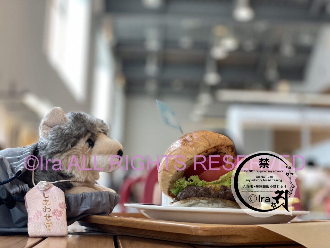 ”ブルーグレイス”は8月8日運航開始。豊富なりんご飲食物を楽しめる青森と北海道間の津軽海峡フェリー。 IMG 3234