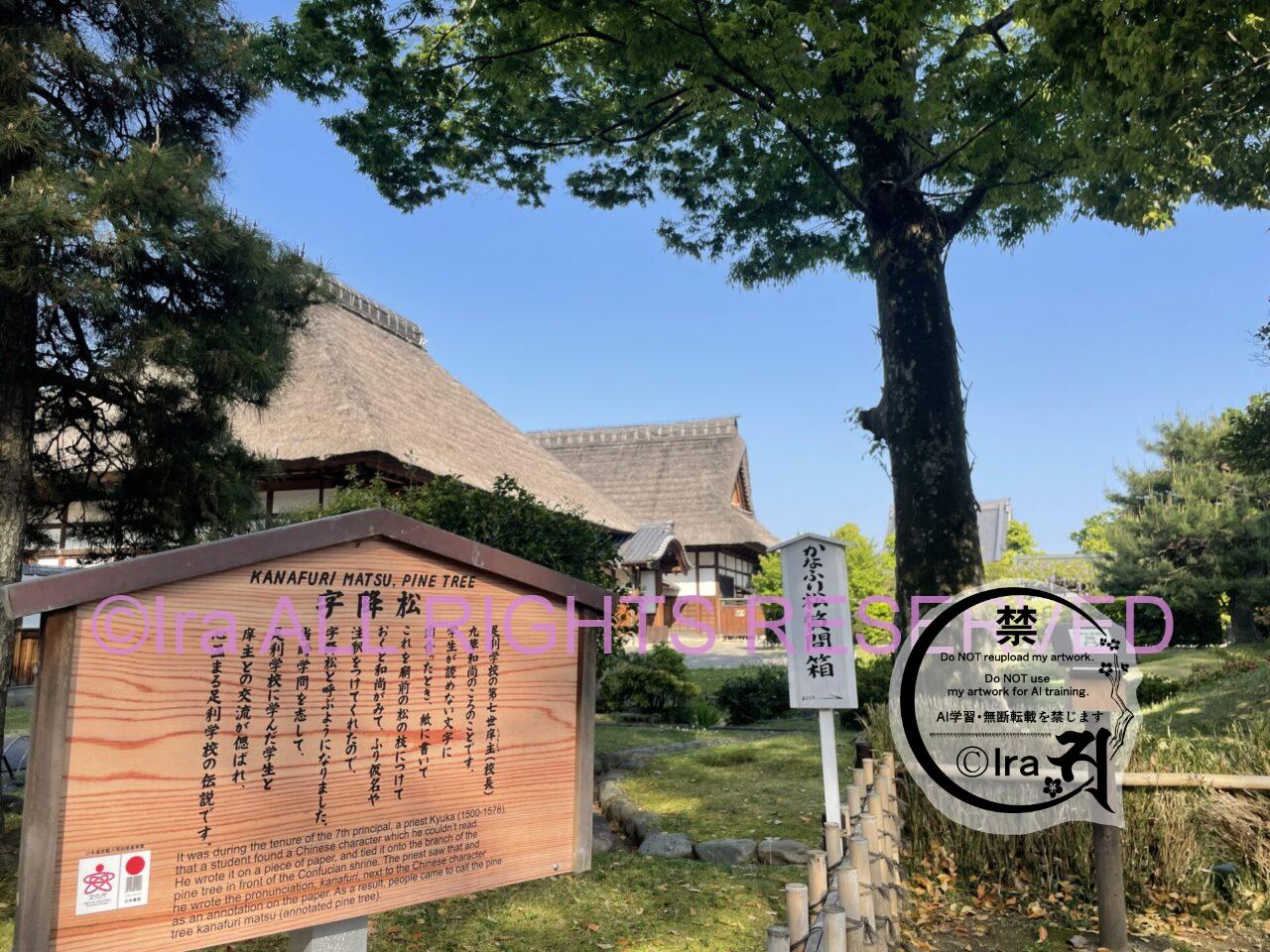 春の栃木県足利市一人旅。足利学校(1泊2日) IMG 34672