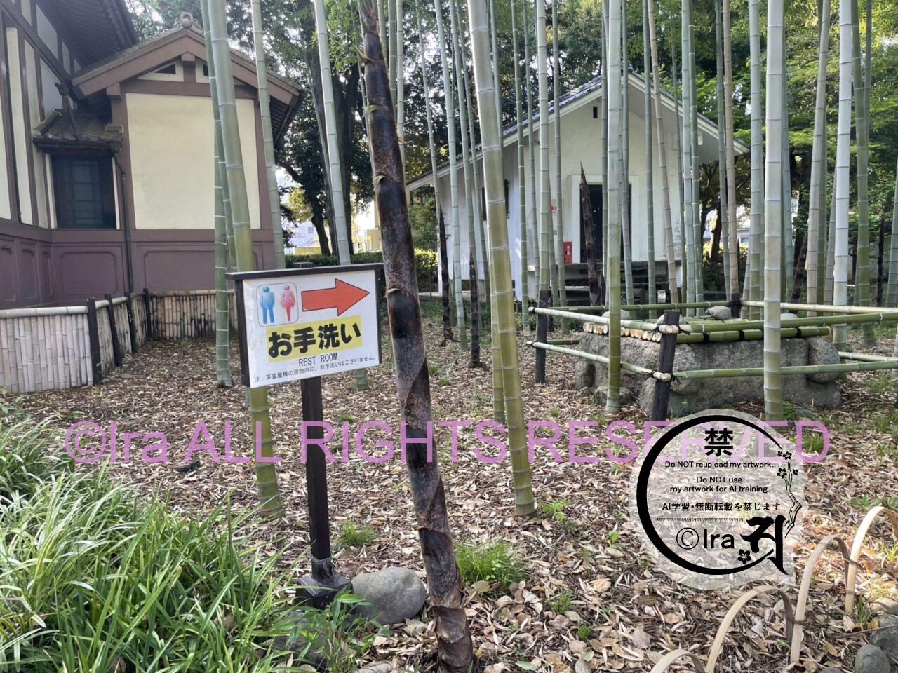 春の栃木県足利市一人旅。足利学校(1泊2日) IMG 36202