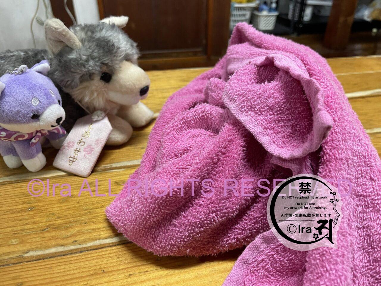 一時帰国と花旅:あしかがフラワーパークの藤とツツジ。栃木花めぐり一人旅。 IMG 40905