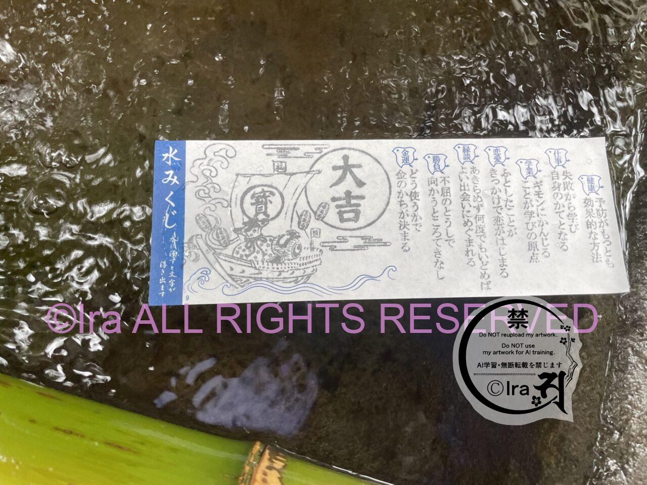 外国人観光客の素直な感想.シンガポール人埼玉川越 IMG 3068