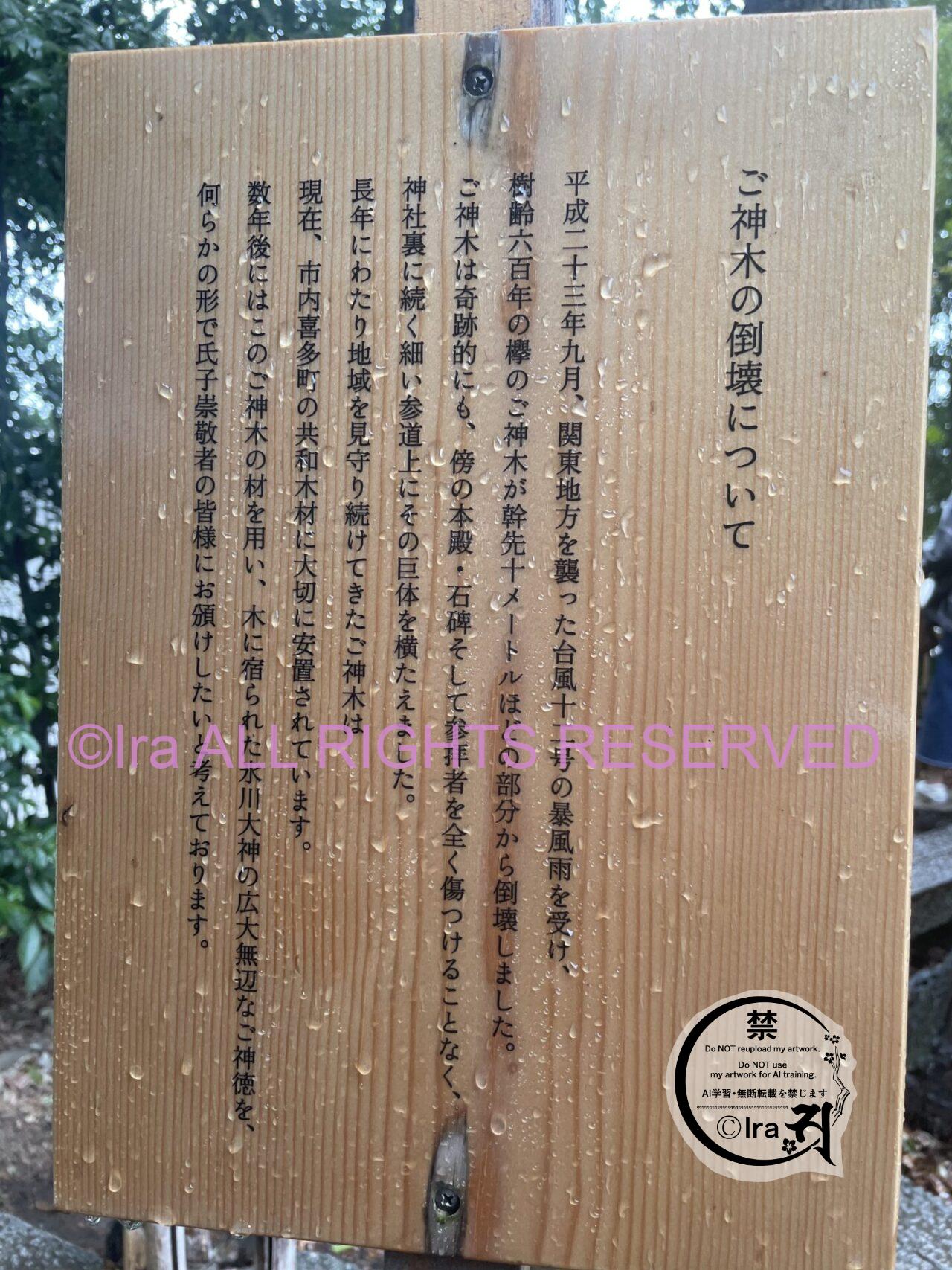外国人観光客の素直な感想.シンガポール人埼玉川越 IMG 3126