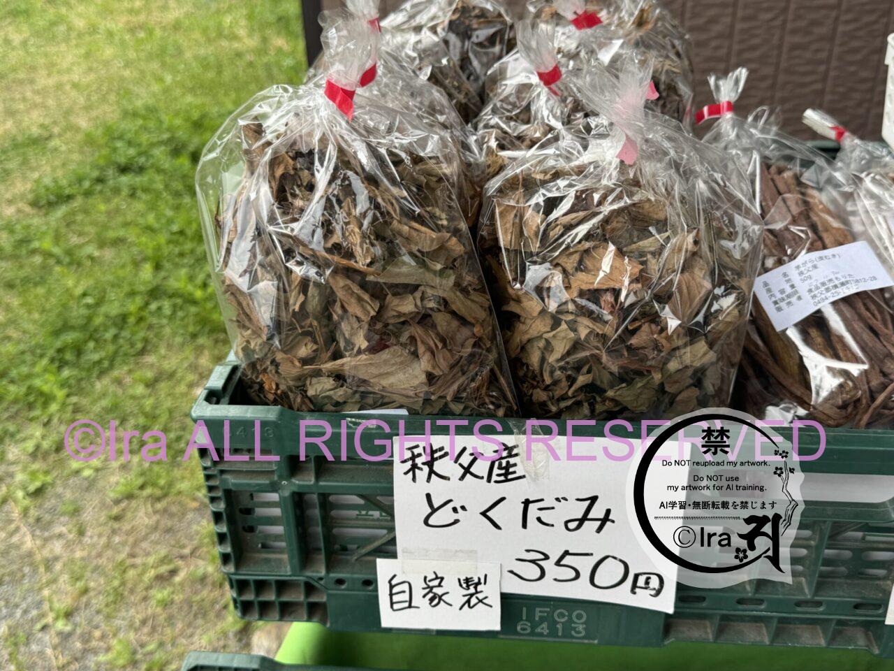埼玉日帰りレトロ旅。秩父の芝桜(羊山公園の満開撮影) IMG 4160