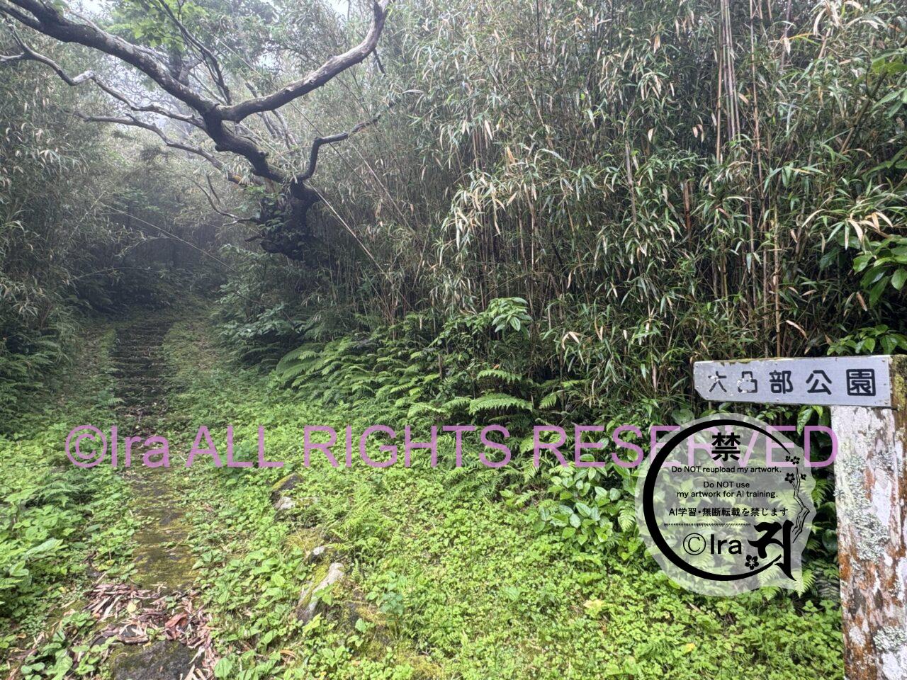 【連続殺人鬼・廃墟・建築・心霊・神社】東京青ヶ島編〜サイレントヒルとサバイバルホラー〜 IMG 4875