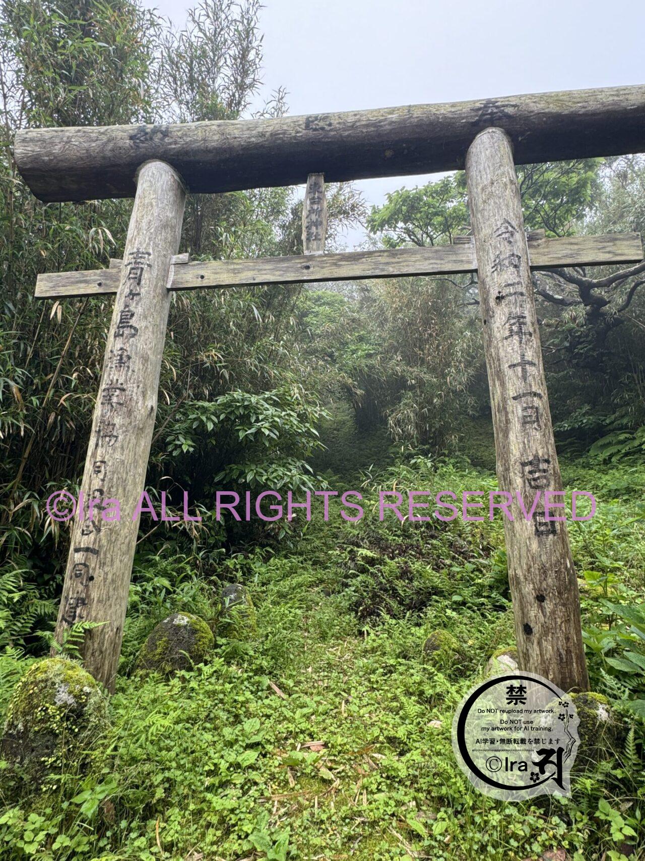 【連続殺人鬼・廃墟・建築・心霊・神社】東京青ヶ島編〜サイレントヒルとサバイバルホラー〜 IMG 4879