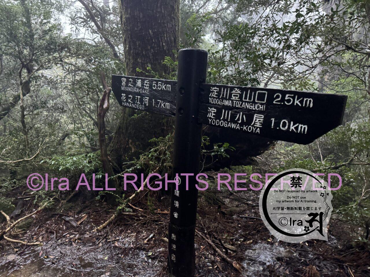 屋久島ベストシーズンの宮之浦岳(百名山登山)。鹿児島の世界遺産は初心者や発達障害者にも優しい。 IMG 5433