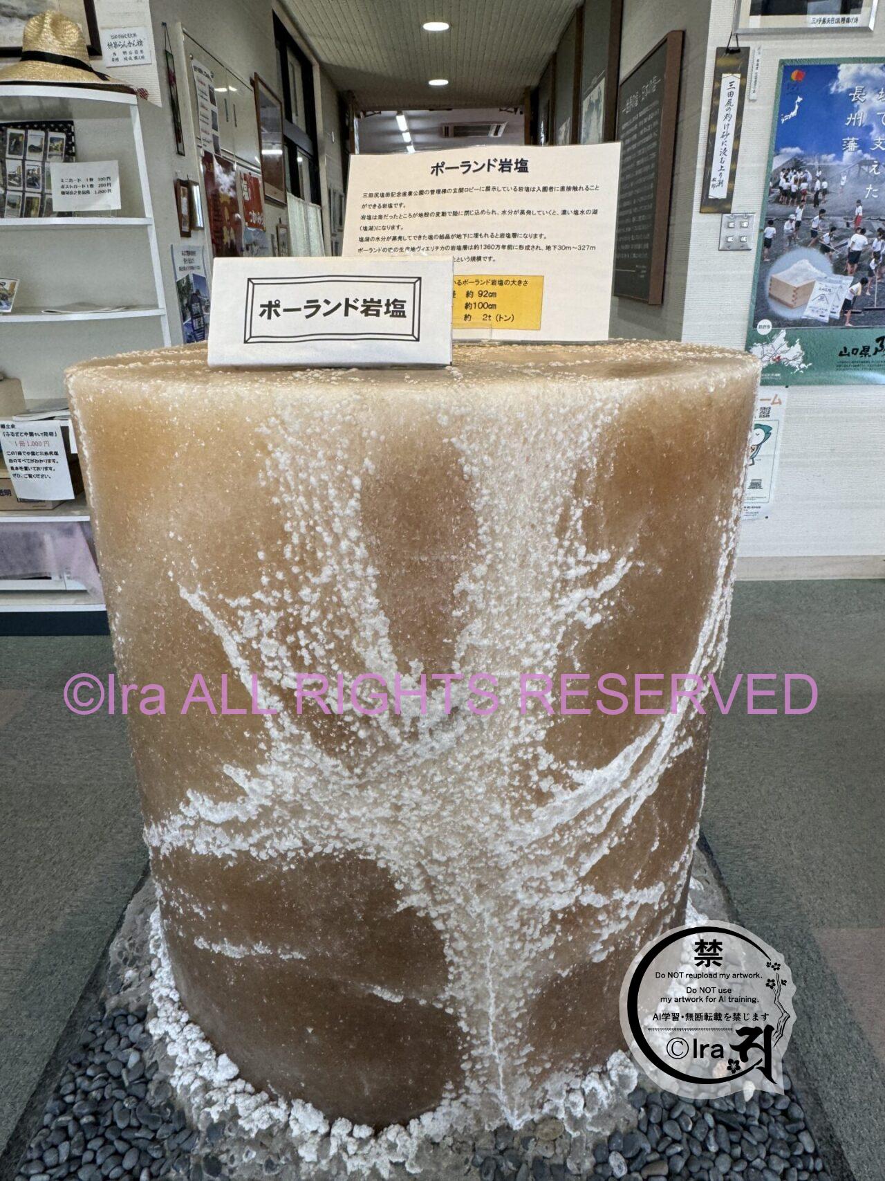 310円の社会科見学&体験とピサの斜塔in山口。三田尻塩田記念産業公園 IMG 5442
