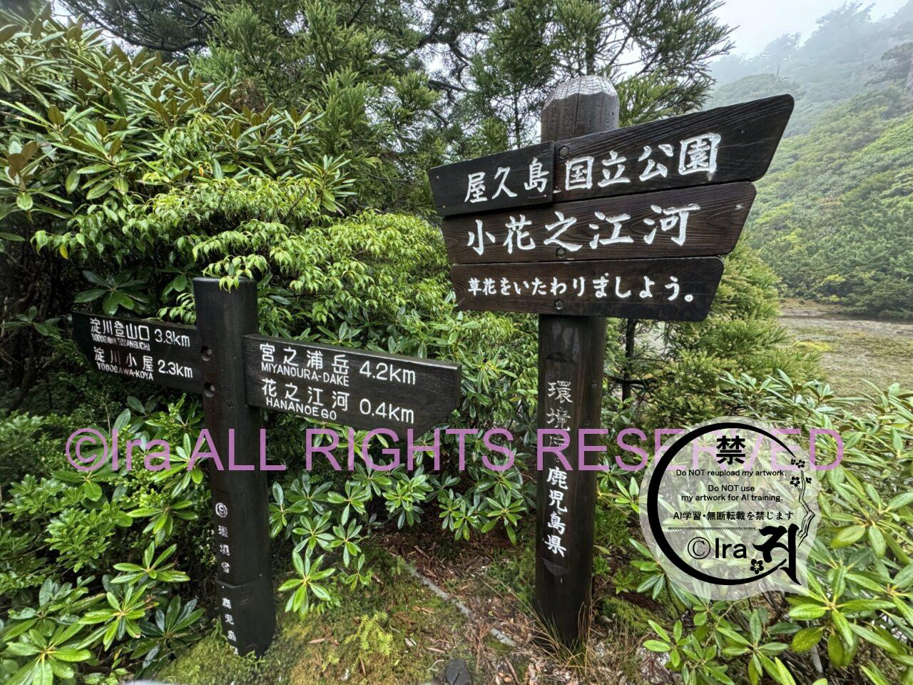 屋久島ベストシーズンの宮之浦岳(百名山登山)。鹿児島の世界遺産は初心者や発達障害者にも優しい。 IMG 5455