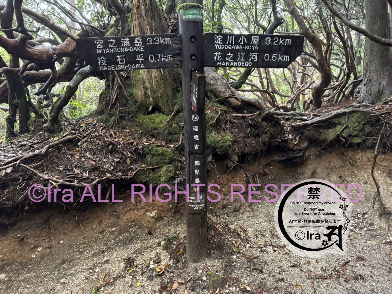 屋久島ベストシーズンの宮之浦岳(百名山登山)。鹿児島の世界遺産は初心者や発達障害者にも優しい。 IMG 5474